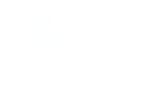 ヴェーダ占星術 ヨゲンノトリ